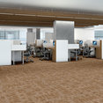 CHAIN-REACTION-J0115-ECHO-00201-room-image